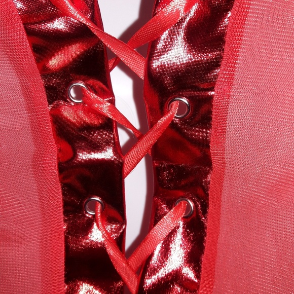 Red Rose Lace Mesh Stretchy Halter Bodysuit - Picture 4 of 6